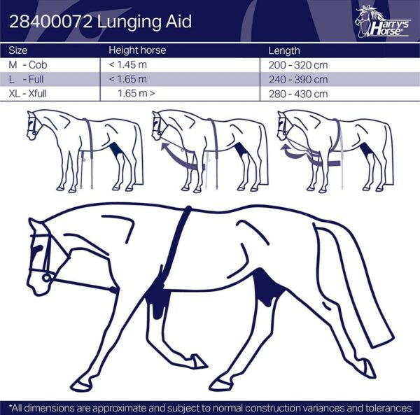 Harry's Horse Lunging Rein Aid - Image 3